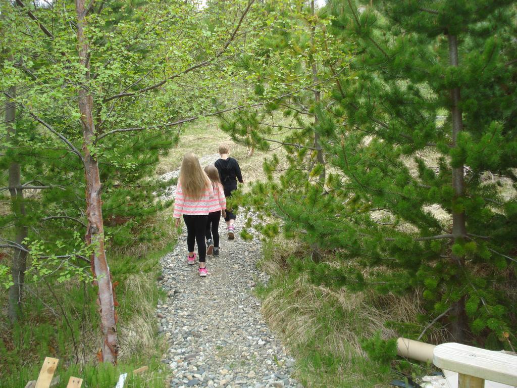 Vinland Camping Pods Egilsstaðir Rom bilde